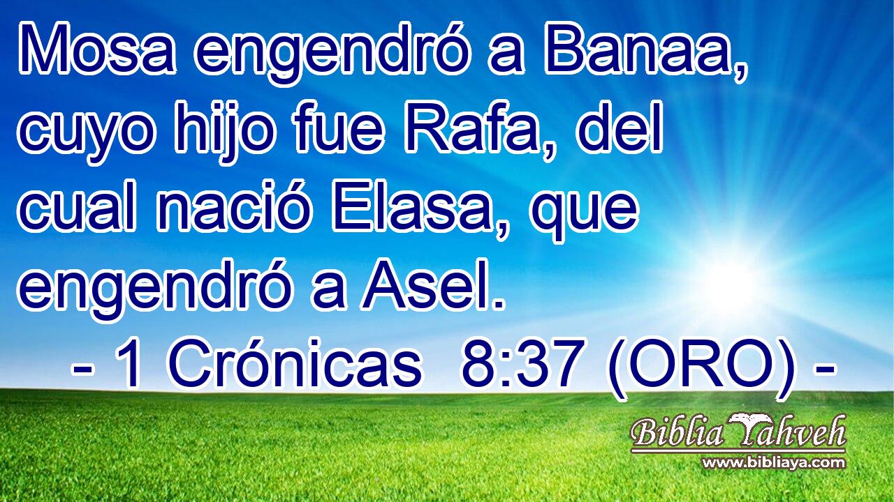  Mosa engendró a Banaa, cuyo hijo fue Rafa, del cual nació Elasa, que engendró a Asel. 