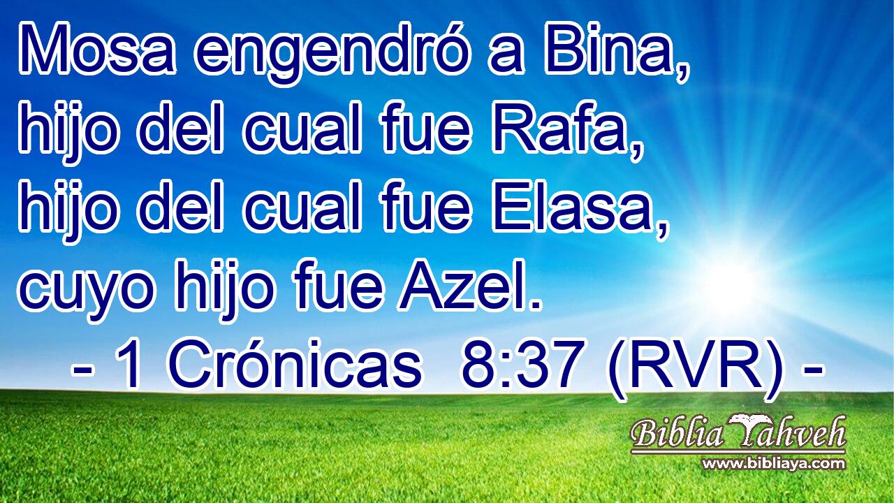 Mosa engendró a Bina, hijo del cual fue Rafa, hijo del cual fue Elasa, cuyo hijo fue Azel.
