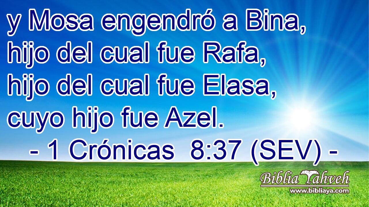 y Mosa engendró a Bina, hijo del cual fue Rafa, hijo del cual fue Elasa, cuyo hijo fue Azel.