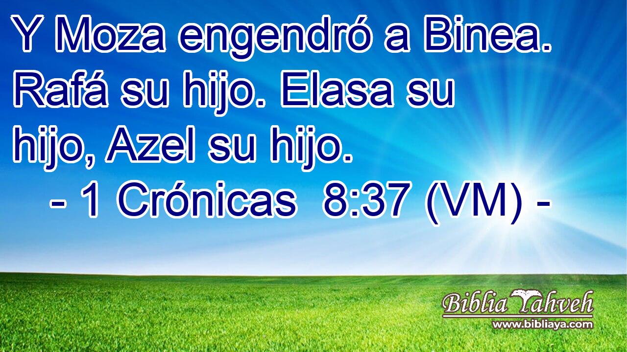  Y Moza engendró a Binea. Rafá su hijo. Elasa su hijo, Azel su hijo. 
