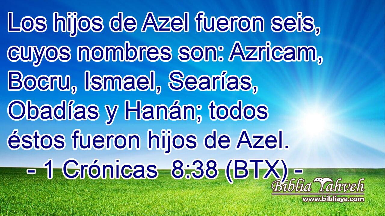 Los hijos de Azel fueron seis, cuyos nombres son: Azricam, Bocru, Ismael, Searías, Obadías y Hanán; todos éstos fueron hijos de Azel.