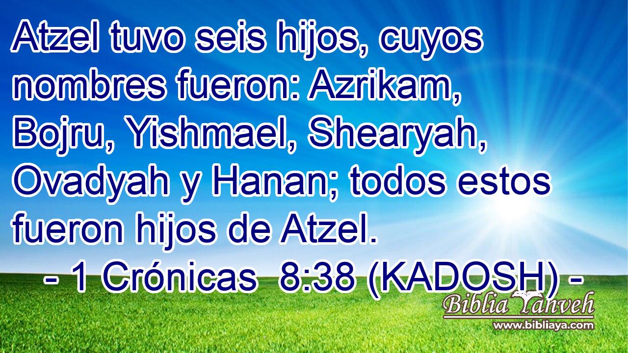  Atzel tuvo seis hijos, cuyos nombres fueron: Azrikam, Bojru, Yishmael, Shearyah, Ovadyah y Hanan; todos estos fueron hijos de Atzel. 