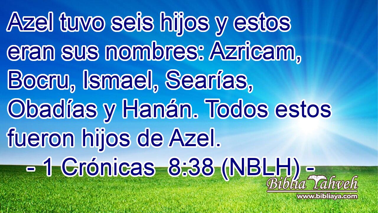  Azel tuvo seis hijos y estos eran sus nombres: Azricam, Bocru, Ismael, Searías, Obadías y Hanán. Todos estos fueron hijos de Azel. 