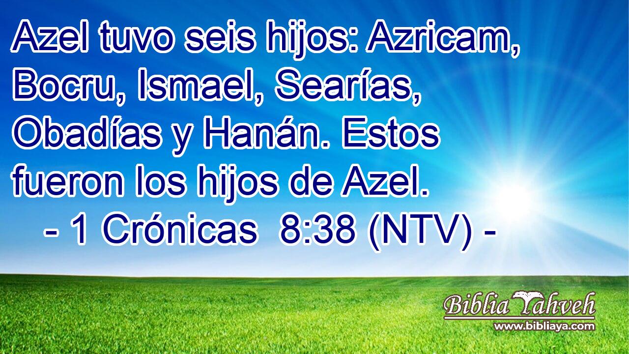 Azel tuvo seis hijos: Azricam, Bocru, Ismael, Searías, Obadías y Hanán. Estos fueron los hijos de Azel.