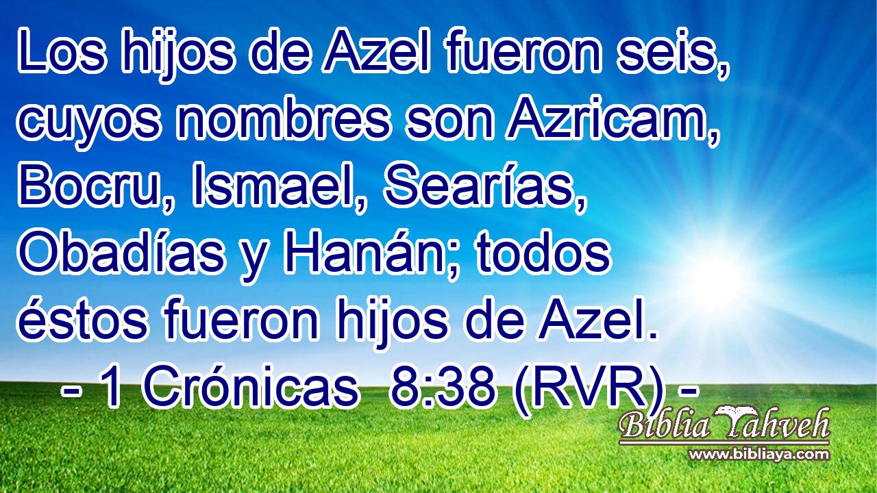 Los hijos de Azel fueron seis, cuyos nombres son Azricam, Bocru, Ismael, Searías, Obadías y Hanán; todos éstos fueron hijos de Azel.