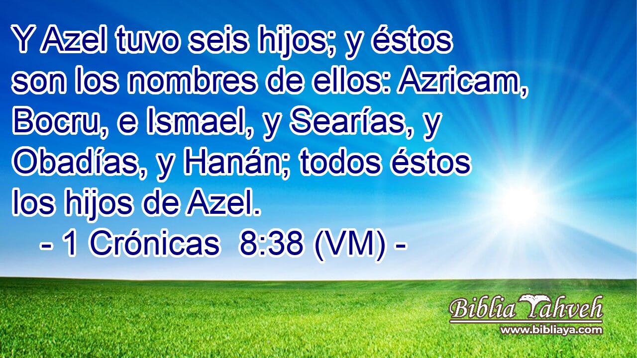  Y Azel tuvo seis hijos; y éstos son los nombres de ellos: Azricam, Bocru, e Ismael, y Searías, y Obadías, y Hanán; todos éstos los hijos de Azel. 
