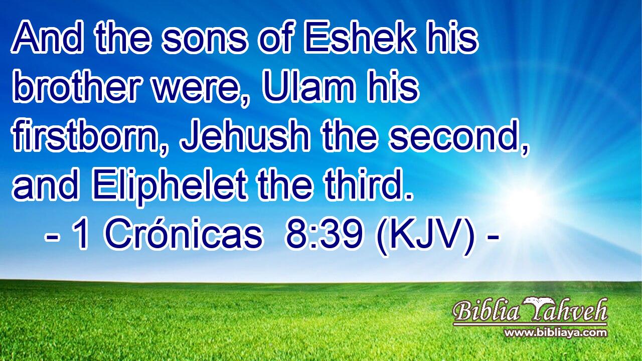 And the sons of Eshek his brother were, Ulam his firstborn, Jehush the second, and Eliphelet the third.