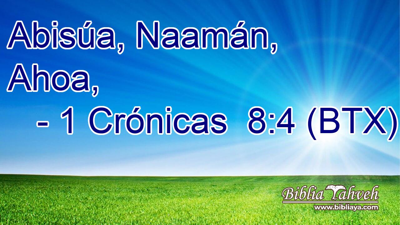 Abisúa, Naamán, Ahoa,