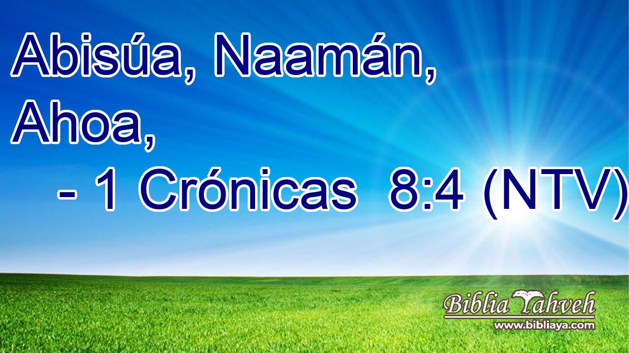 Abisúa, Naamán, Ahoa,