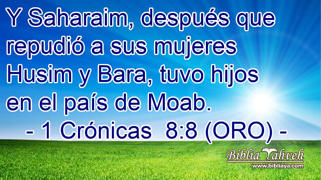  Y Saharaim, después que repudió a sus mujeres Husim y Bara, tuvo hijos en el país de Moab. 
