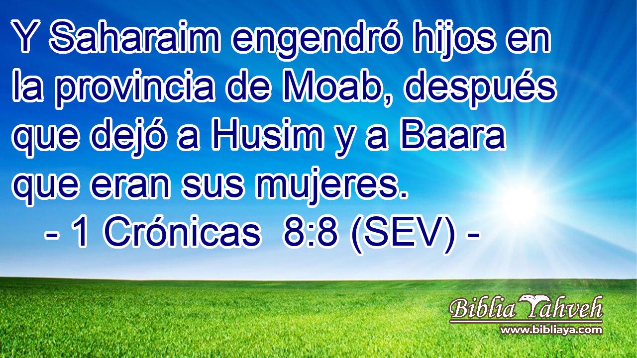 Y Saharaim engendró hijos en la provincia de Moab, después que dejó a Husim y a Baara que eran sus mujeres.