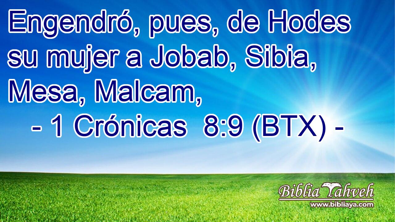 Engendró, pues, de Hodes su mujer a Jobab, Sibia, Mesa, Malcam,
