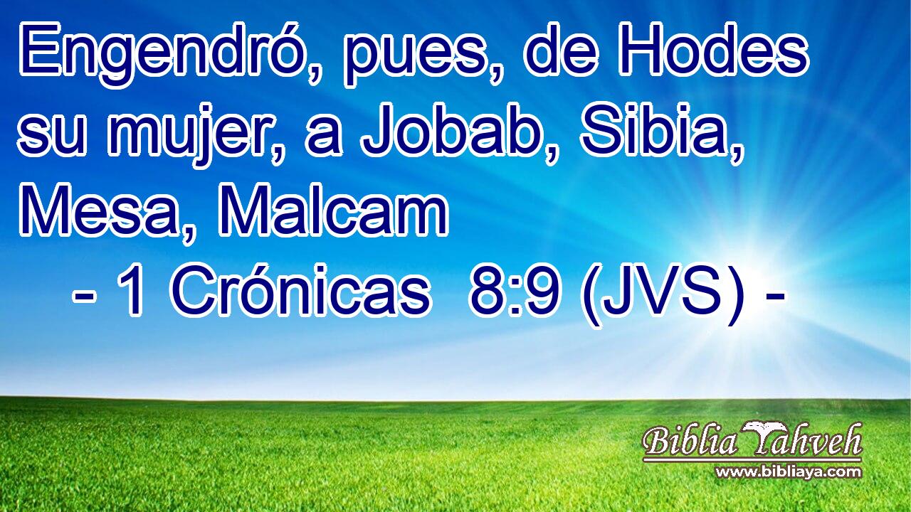 Engendró, pues, de Hodes su mujer, a Jobab, Sibia, Mesa, Malcam