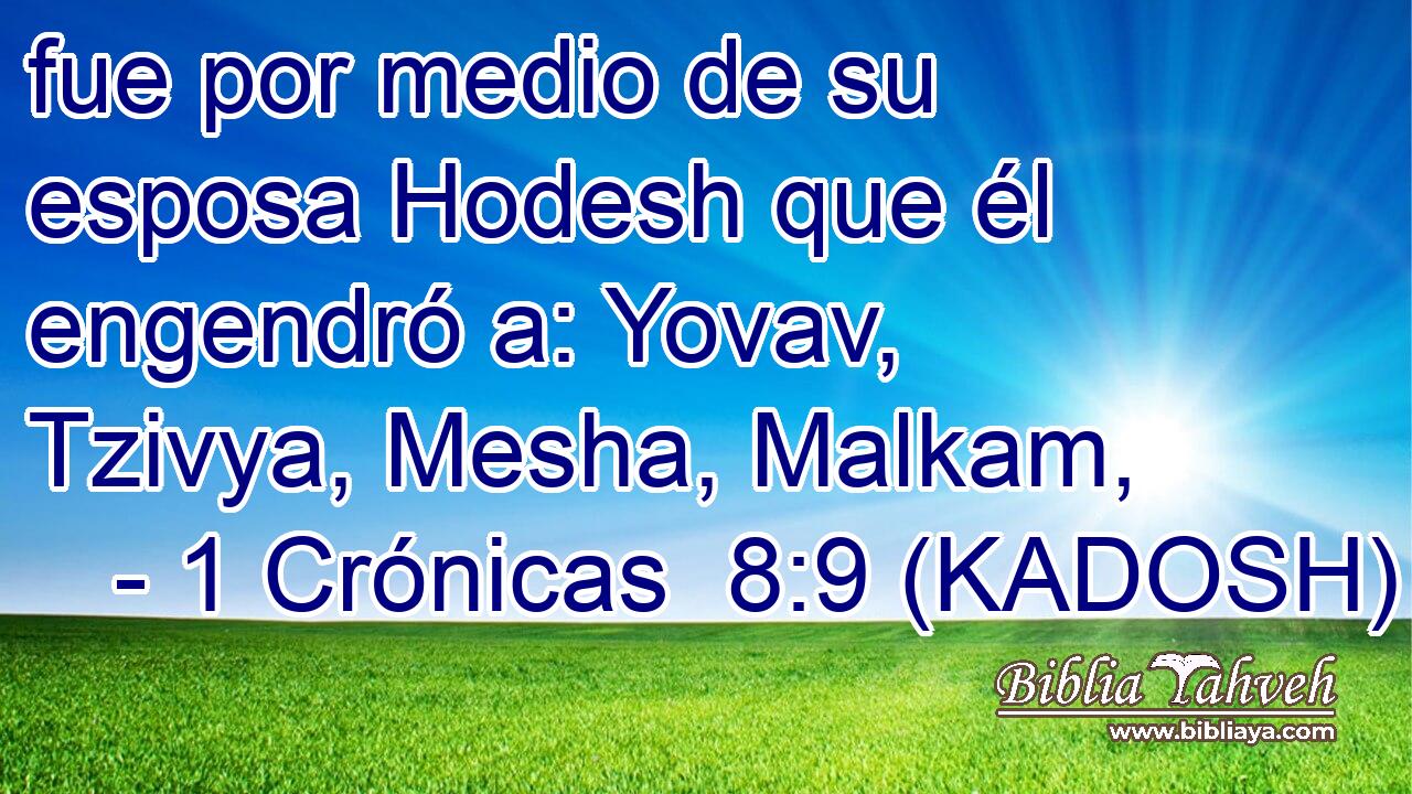  fue por medio de su esposa Hodesh que él engendró a: Yovav, Tzivya, Mesha, Malkam, 