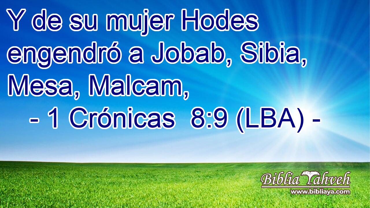 Y de su mujer Hodes engendró a Jobab, Sibia, Mesa, Malcam,