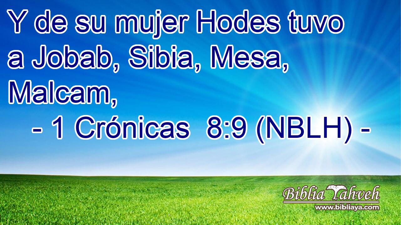  Y de su mujer Hodes tuvo a Jobab, Sibia, Mesa, Malcam, 