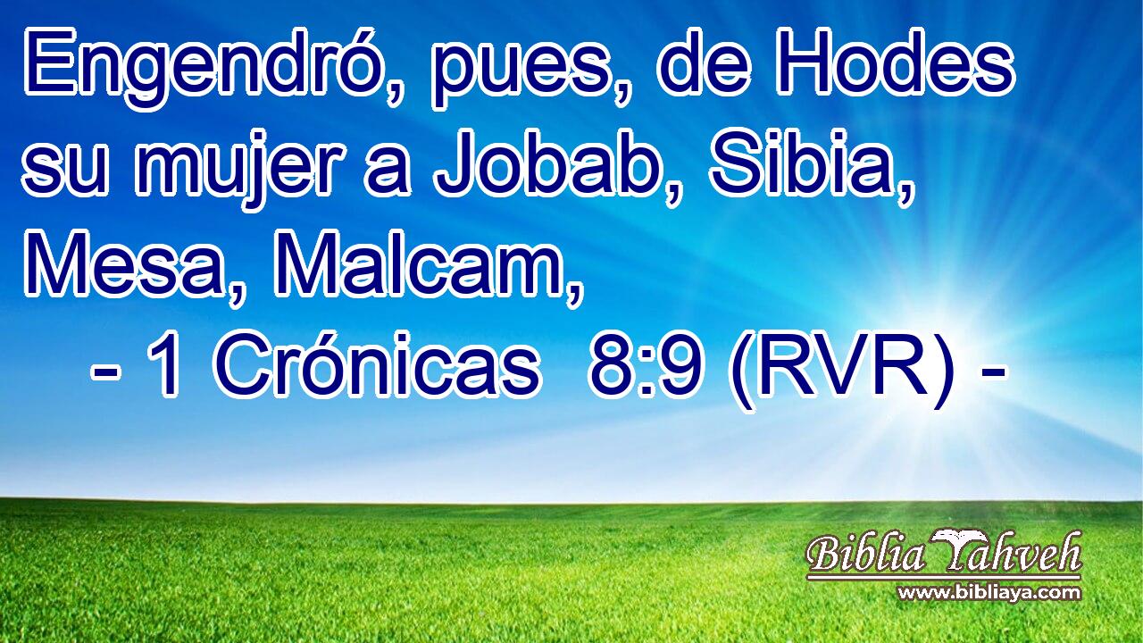 Engendró, pues, de Hodes su mujer a Jobab, Sibia, Mesa, Malcam,