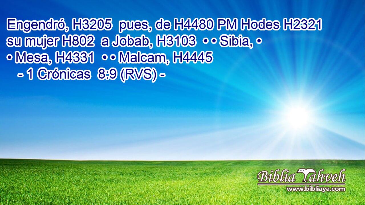Engendró, H3205  pues, de H4480 PM Hodes H2321  su mujer H802  a Jobab, H3103  • • Sibia, • • Mesa, H4331  • • Malcam, H4445  