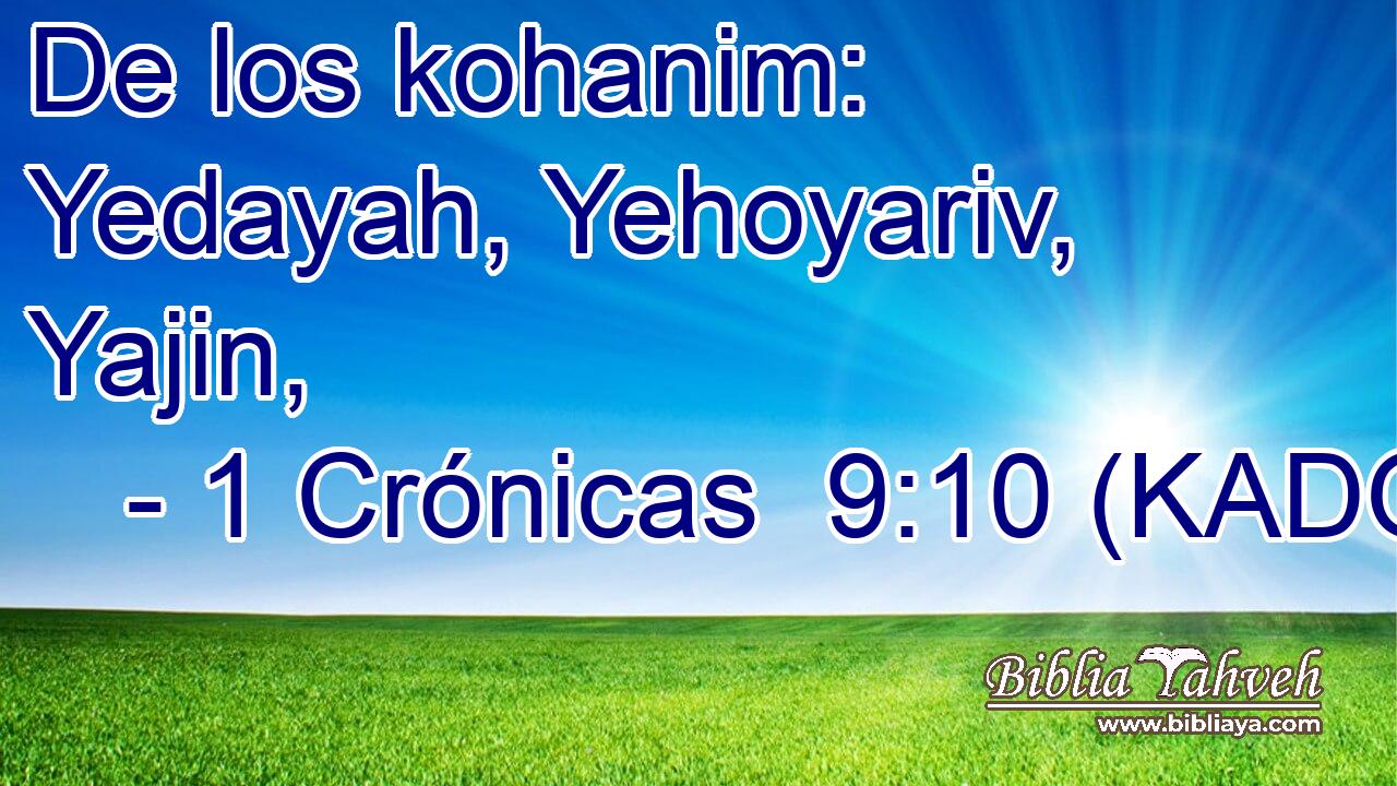  De los kohanim: Yedayah, Yehoyariv, Yajin, 