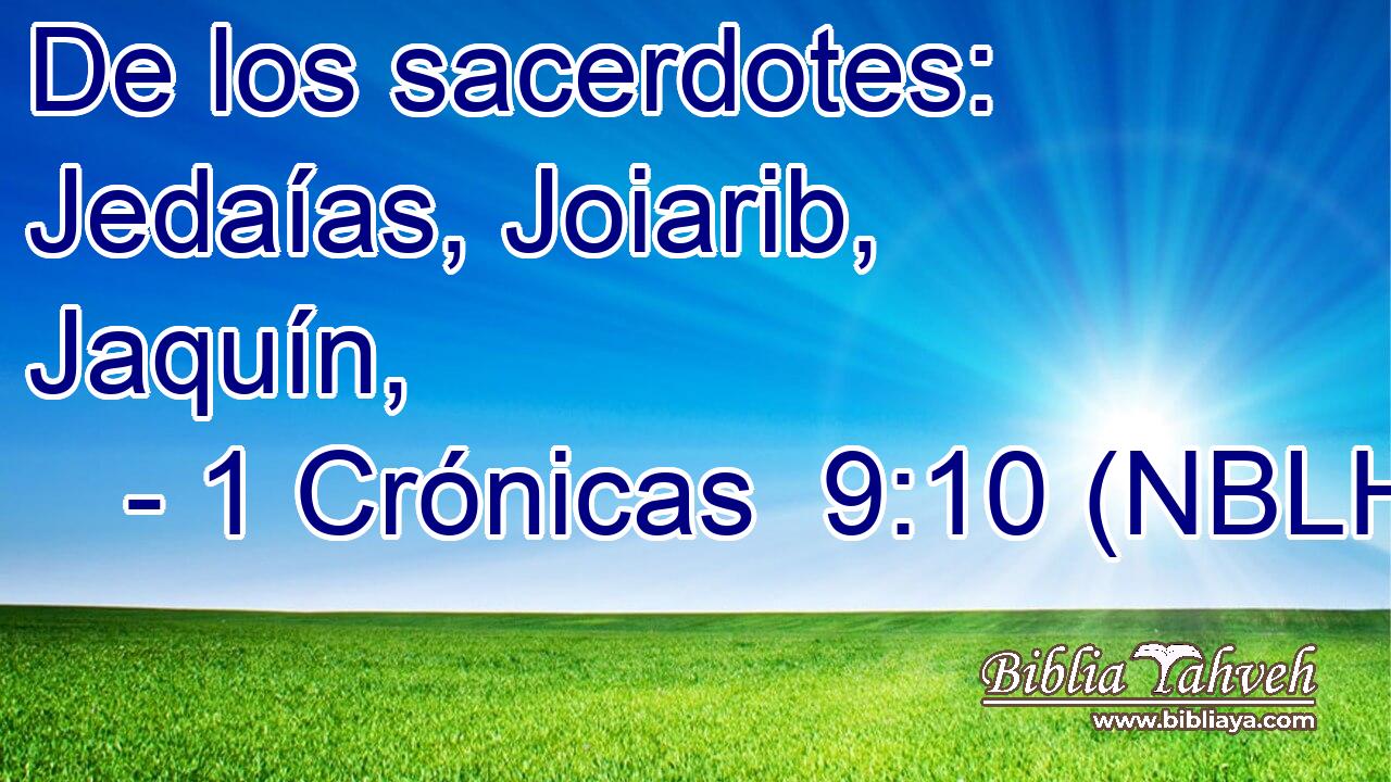  De los sacerdotes: Jedaías, Joiarib, Jaquín, 
