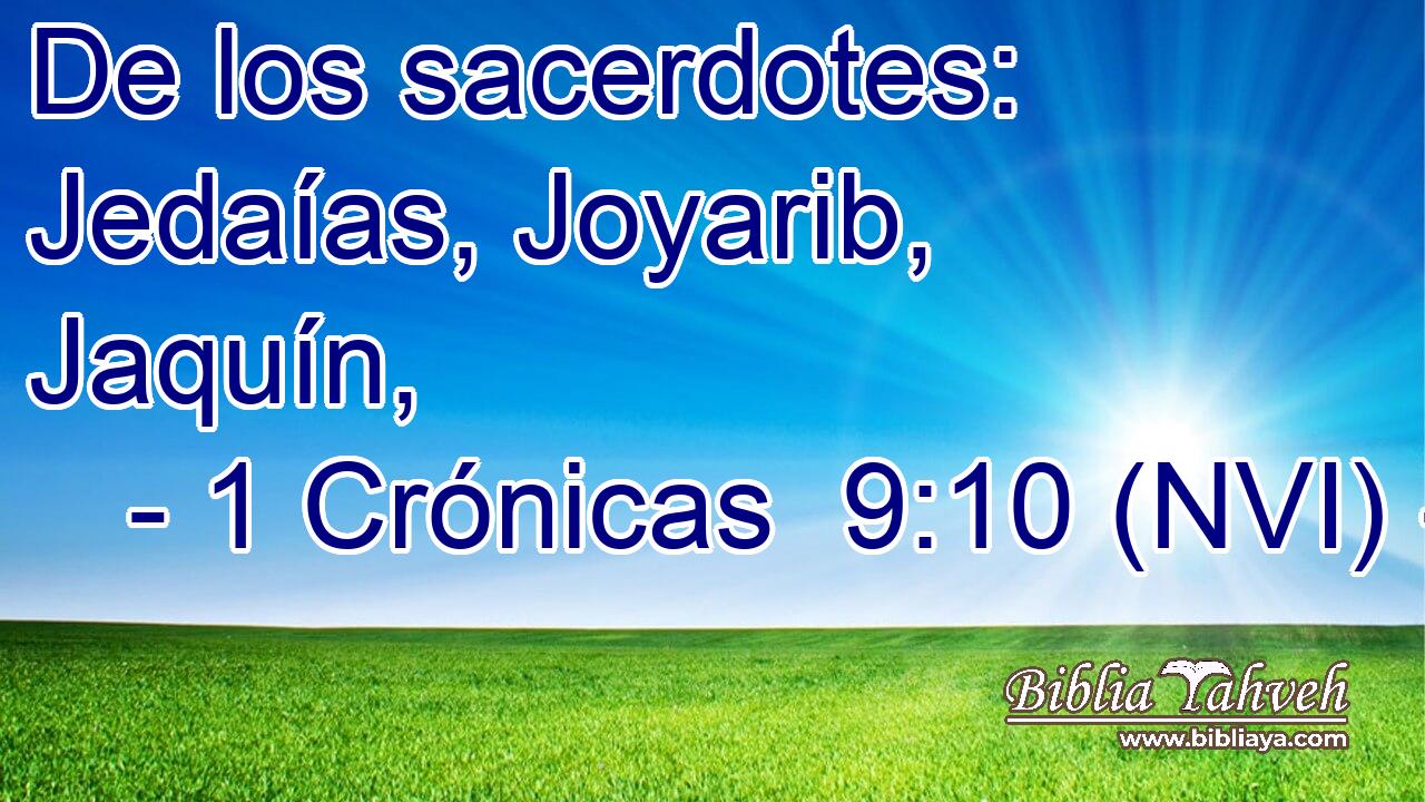  De los sacerdotes: Jedaías, Joyarib, Jaquín, 