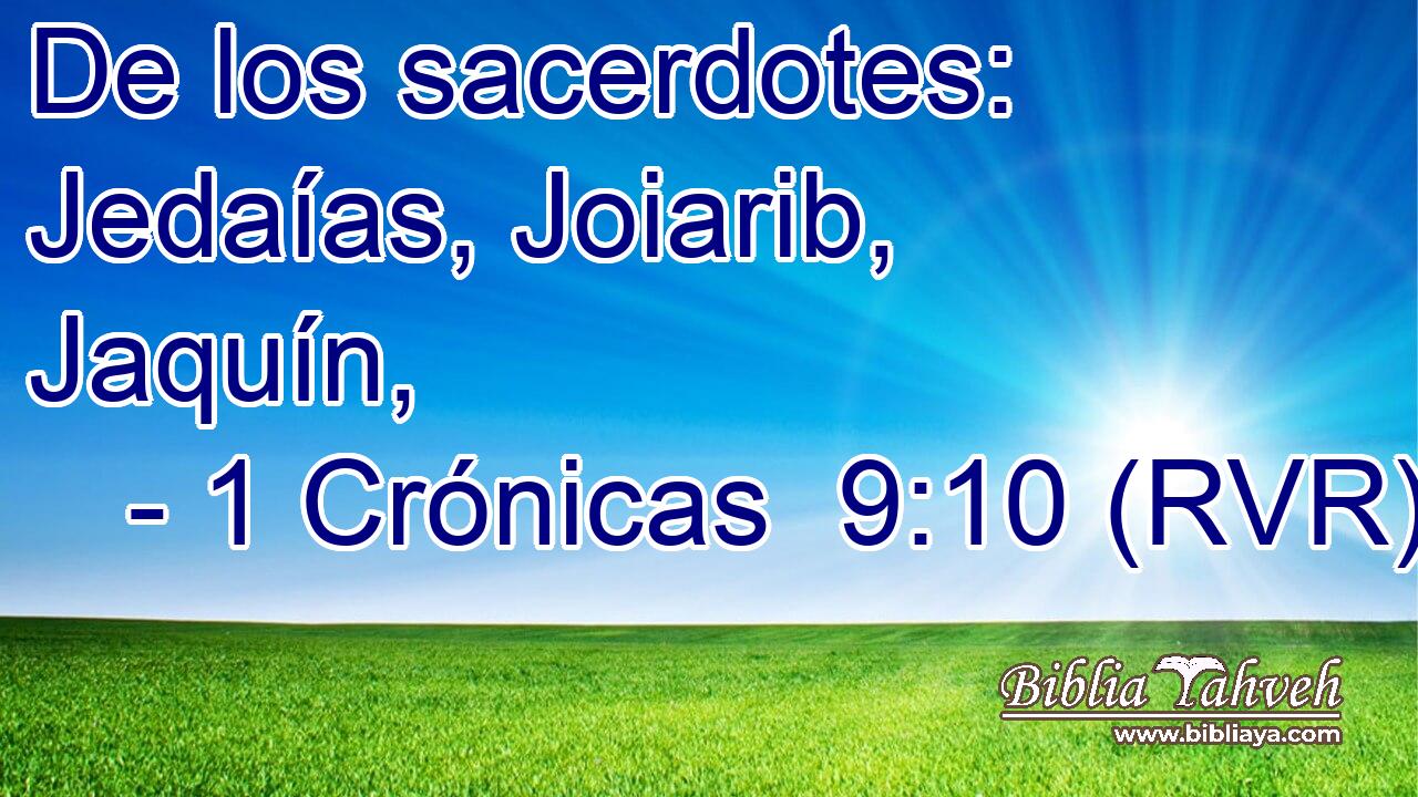 De los sacerdotes: Jedaías, Joiarib, Jaquín,