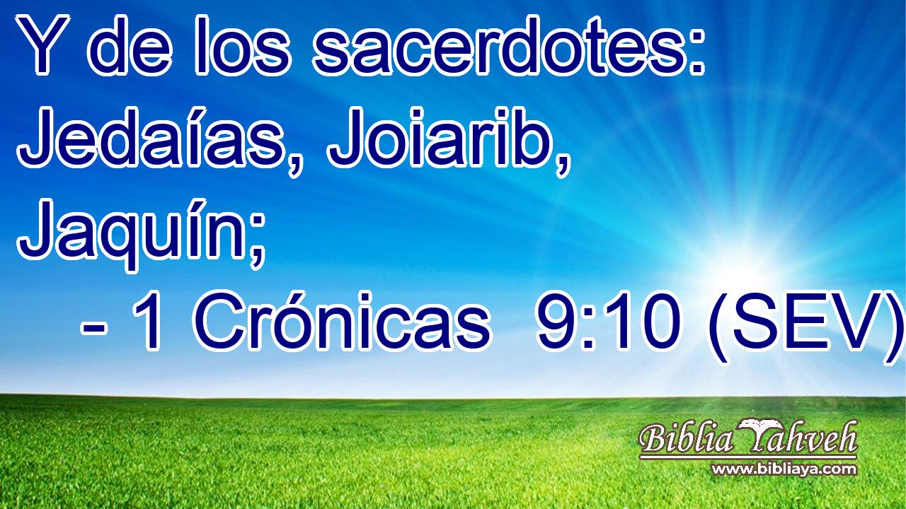 Y de los sacerdotes: Jedaías, Joiarib, Jaquín;