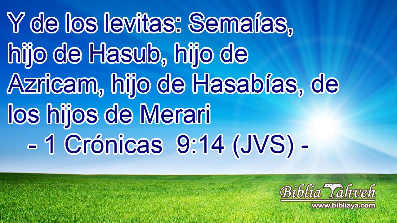Y de los levitas: Semaías, hijo de Hasub, hijo de Azricam, hijo de Hasabías, de los hijos de Merari
