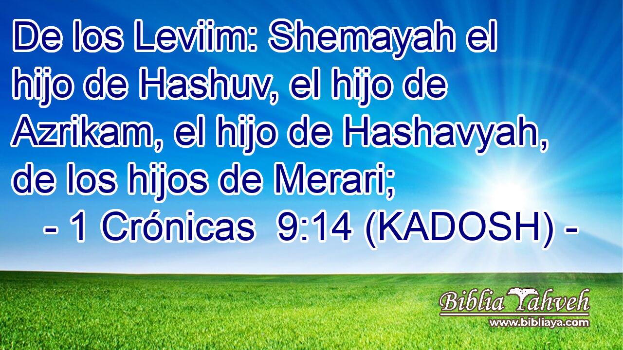  De los Leviim: Shemayah el hijo de Hashuv, el hijo de Azrikam, el hijo de Hashavyah, de los hijos de Merari; 