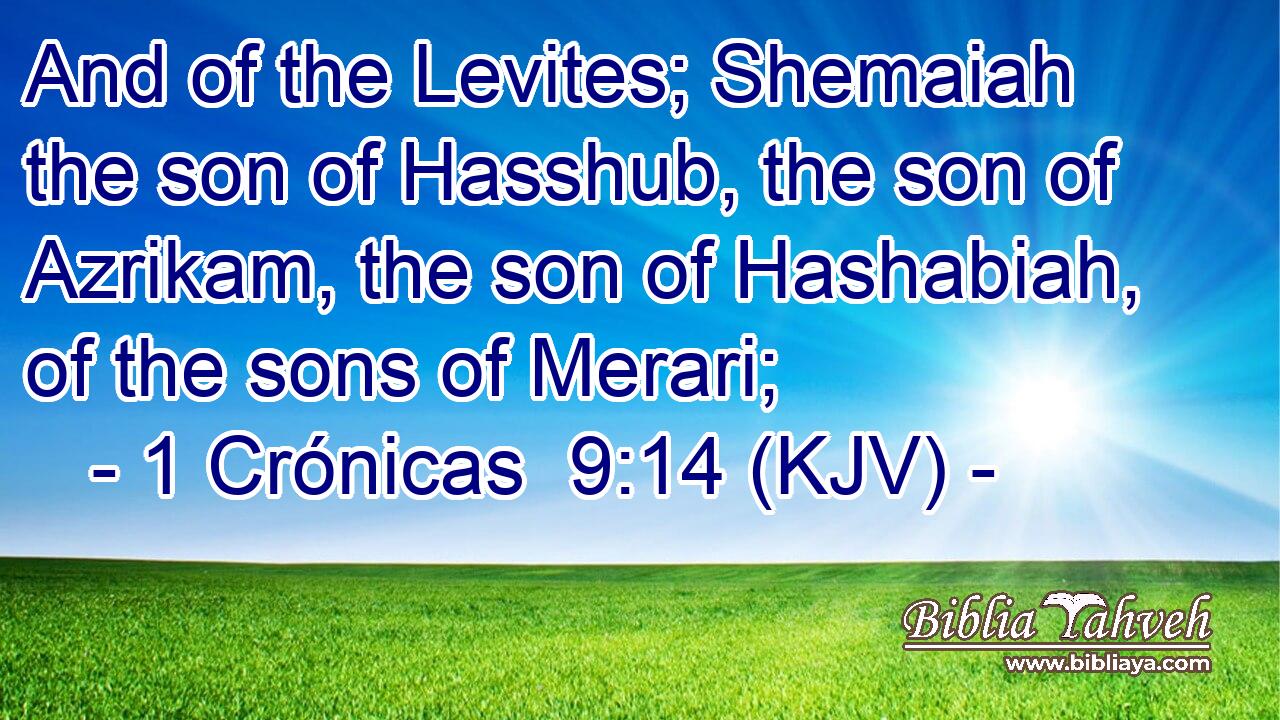 And of the Levites; Shemaiah the son of Hasshub, the son of Azrikam, the son of Hashabiah, of the sons of Merari;