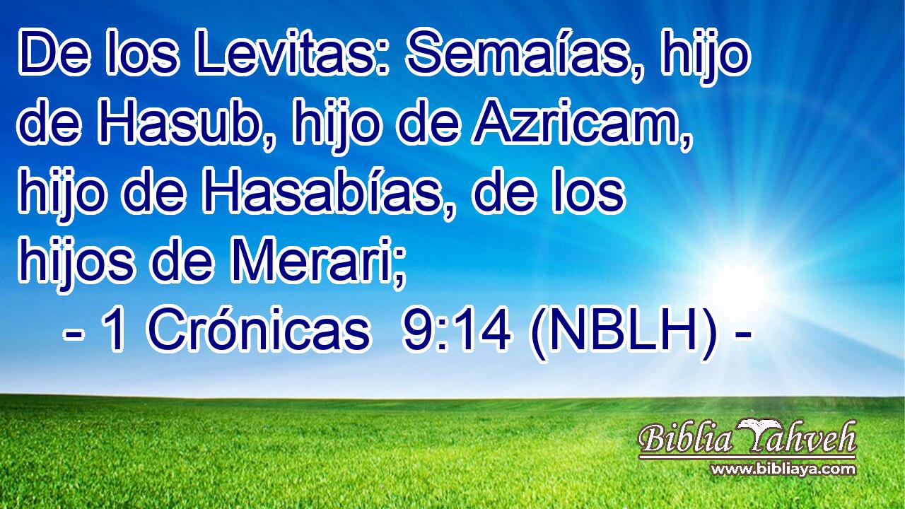  De los Levitas: Semaías, hijo de Hasub, hijo de Azricam, hijo de Hasabías, de los hijos de Merari; 