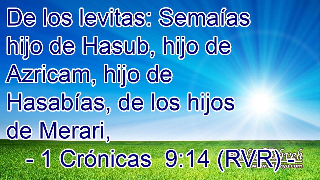 De los levitas: Semaías hijo de Hasub, hijo de Azricam, hijo de Hasabías, de los hijos de Merari,