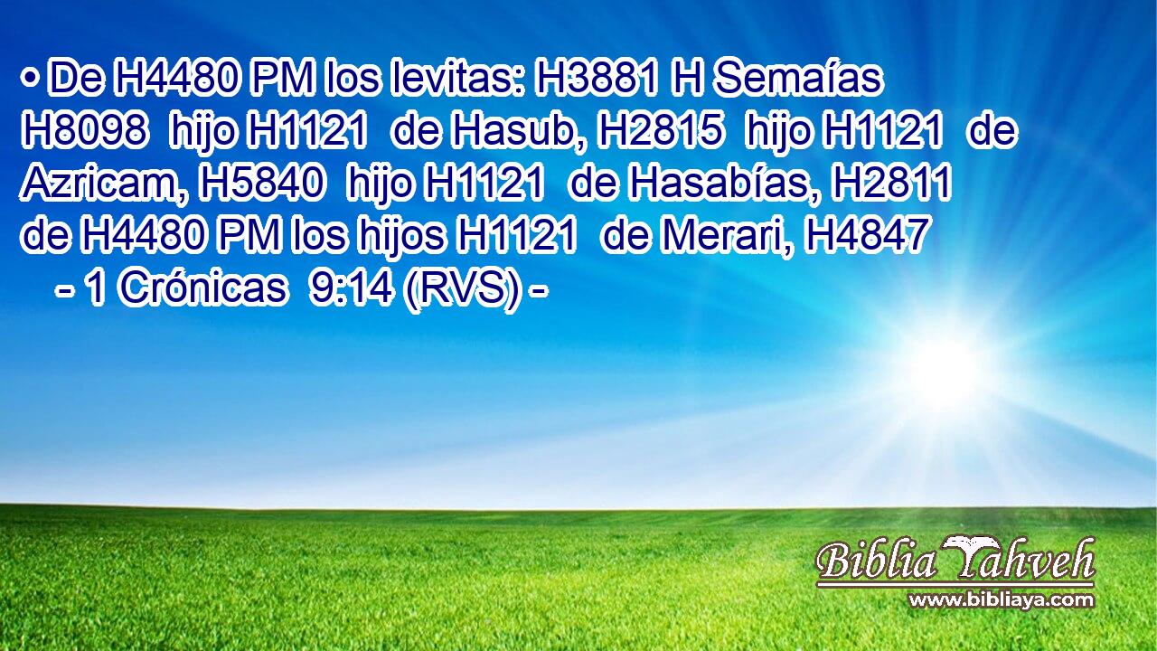 • De H4480 PM los levitas: H3881 H Semaías H8098  hijo H1121  de Hasub, H2815  hijo H1121  de Azricam, H5840  hijo H1121  de Hasabías, H2811  de H4480 PM los hijos H1121  de Merari, H4847  