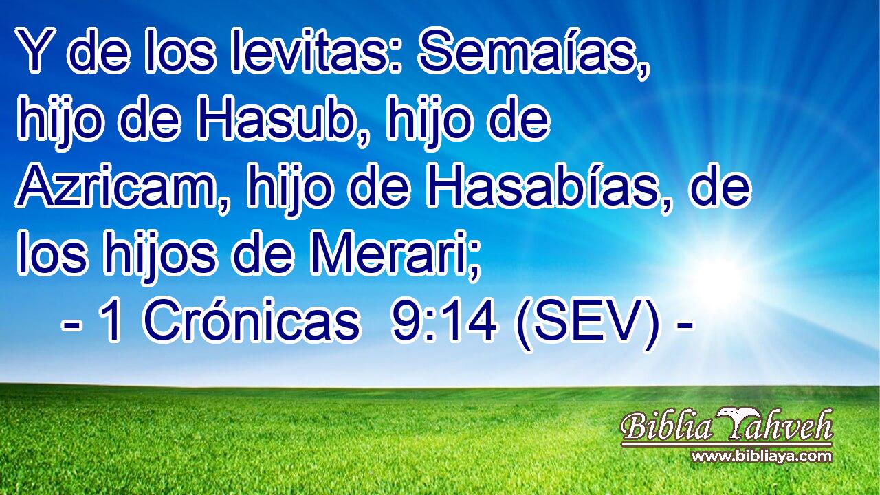 Y de los levitas: Semaías, hijo de Hasub, hijo de Azricam, hijo de Hasabías, de los hijos de Merari;