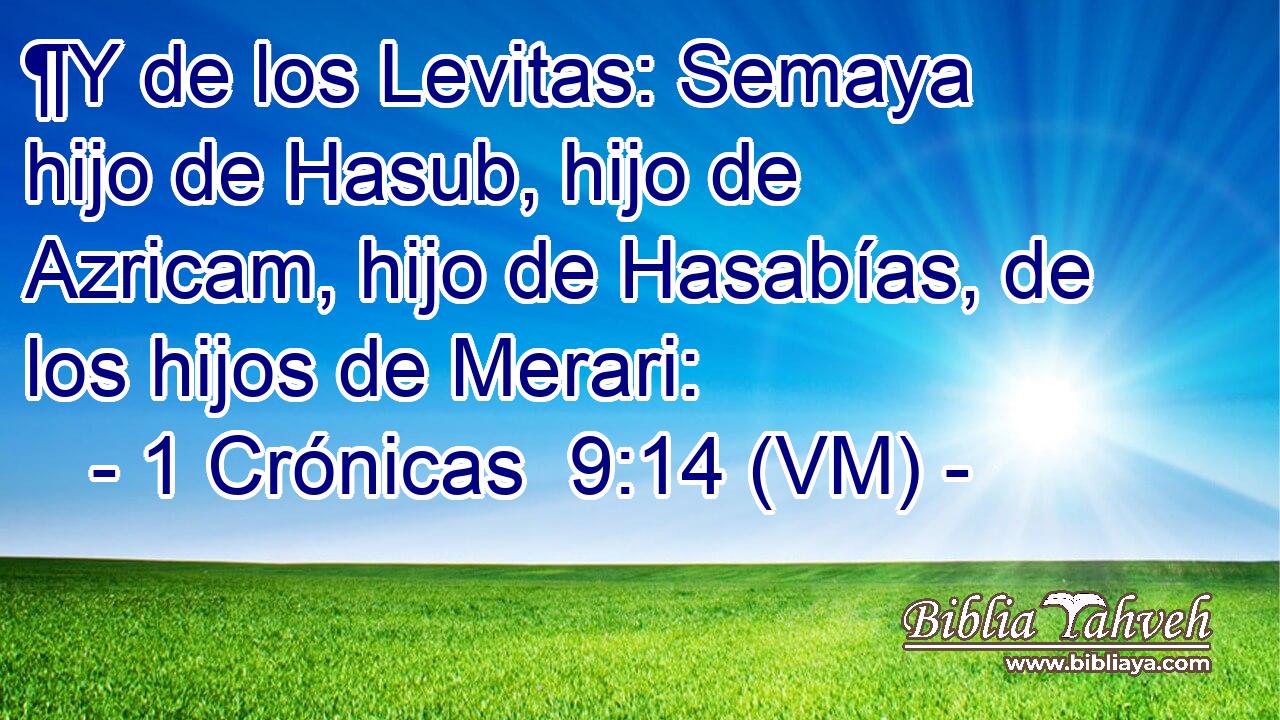  ¶Y de los Levitas: Semaya hijo de Hasub, hijo de Azricam, hijo de Hasabías, de los hijos de Merari: 