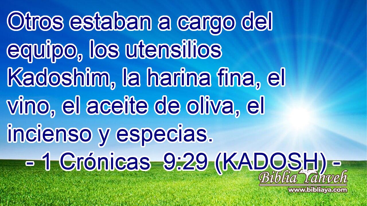  Otros estaban a cargo del equipo, los utensilios Kadoshim, la harina fina, el vino, el aceite de oliva, el incienso y especias. 