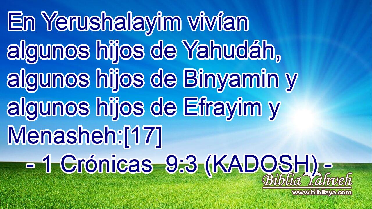  En Yerushalayim vivían algunos hijos de Yahudáh, algunos hijos de Binyamin y algunos hijos de Efrayim y Menasheh:[17] 