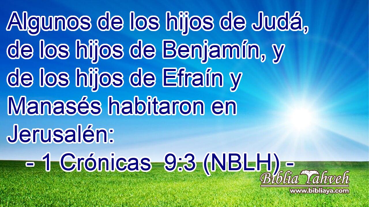  Algunos de los hijos de Judá, de los hijos de Benjamín, y de los hijos de Efraín y Manasés habitaron en Jerusalén: 