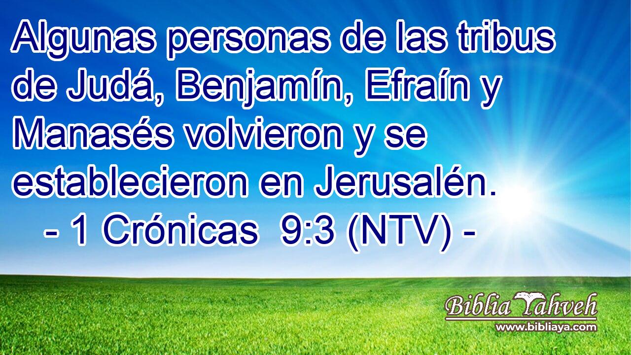 Algunas personas de las tribus de Judá, Benjamín, Efraín y Manasés volvieron y se establecieron en Jerusalén.