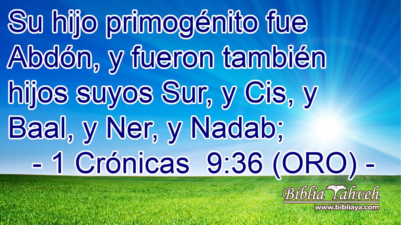  Su hijo primogénito fue Abdón, y fueron también hijos suyos Sur, y Cis, y Baal, y Ner, y Nadab; 