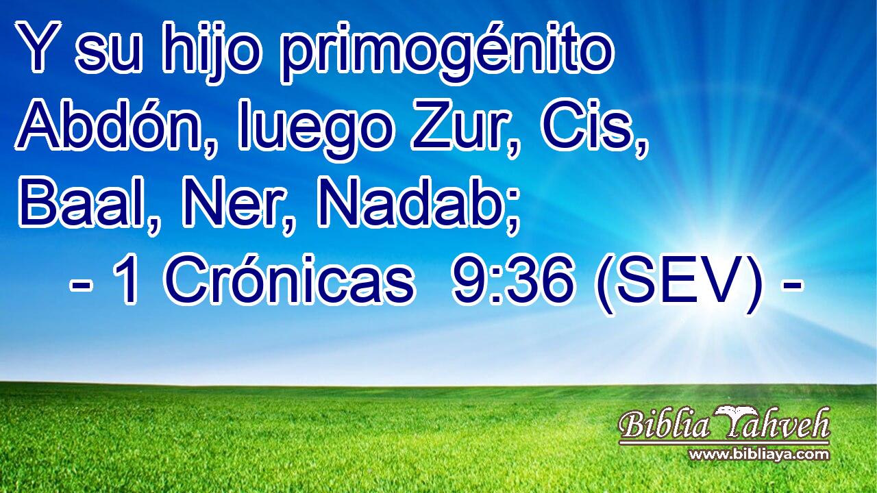 Y su hijo primogénito Abdón, luego Zur, Cis, Baal, Ner, Nadab;
