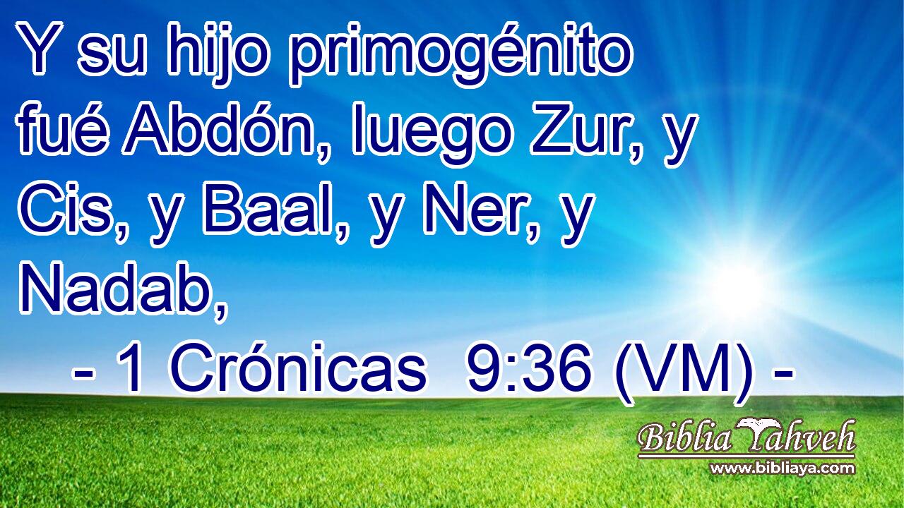  Y su hijo primogénito fué Abdón, luego Zur, y Cis, y Baal, y Ner, y Nadab, 