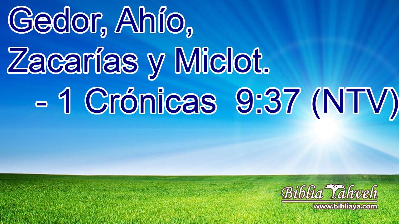 Gedor, Ahío, Zacarías y Miclot.