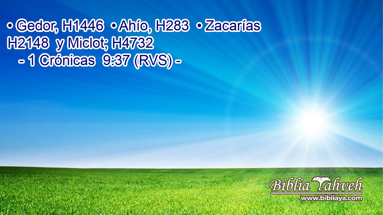 • Gedor, H1446  • Ahío, H283  • Zacarías H2148  y Miclot; H4732  