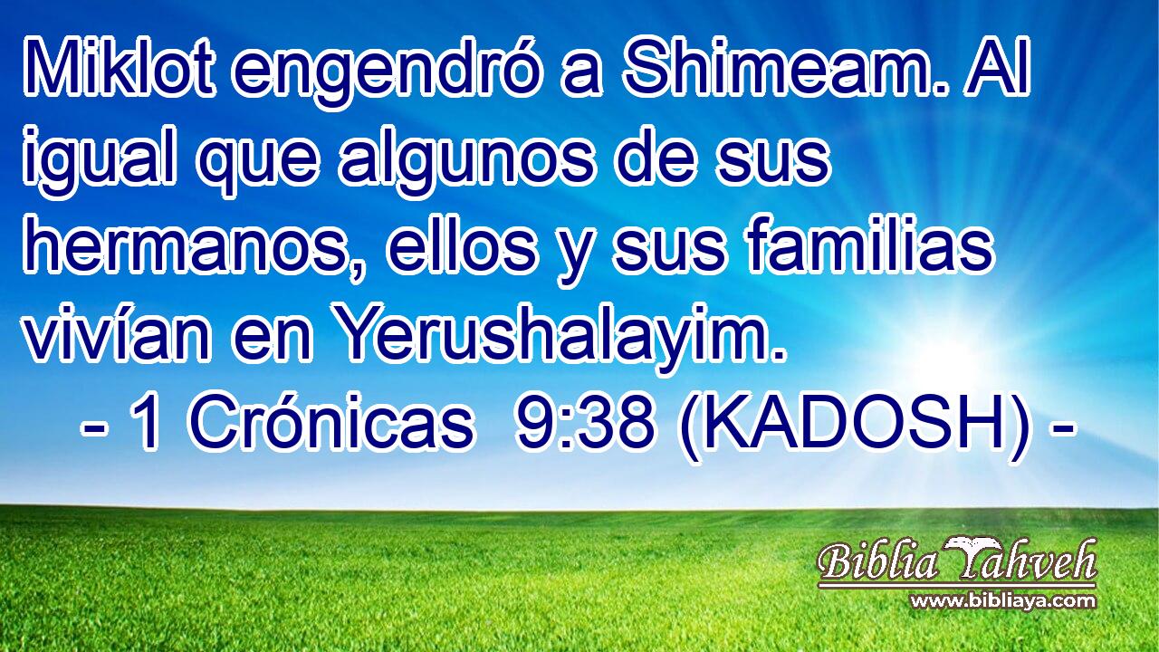  Miklot engendró a Shimeam. Al igual que algunos de sus hermanos, ellos y sus familias vivían en Yerushalayim. 