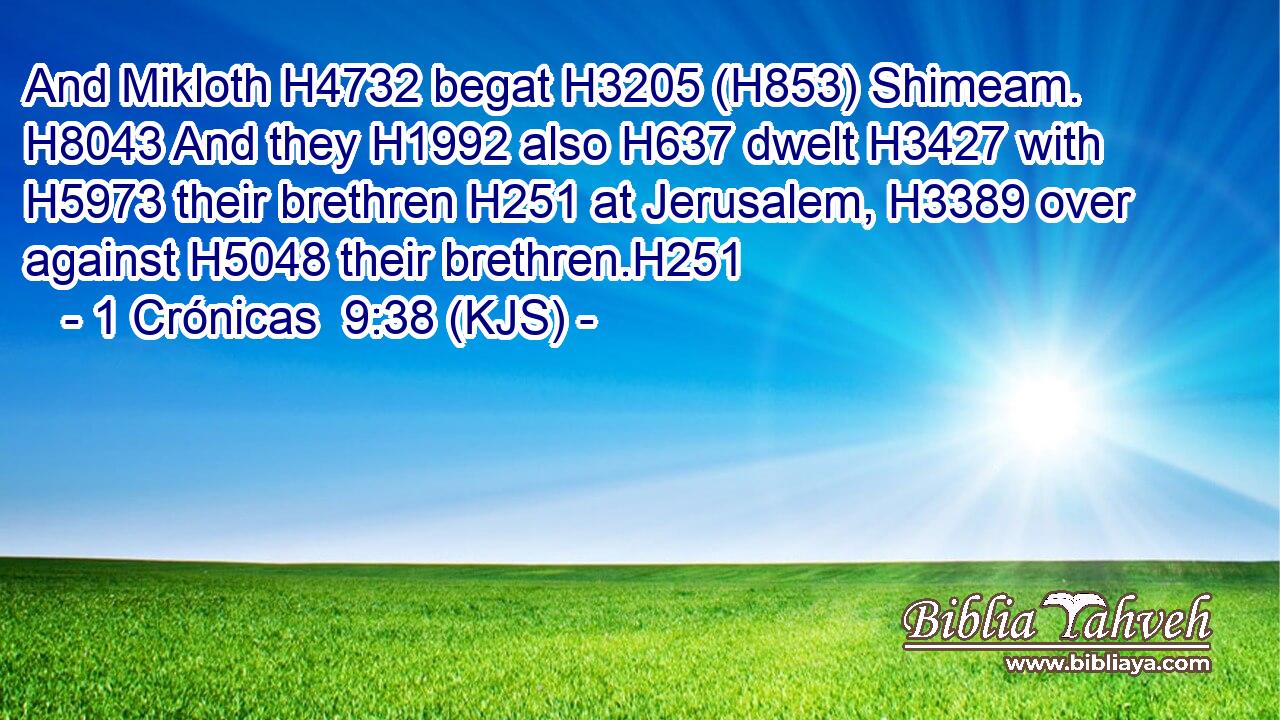 And Mikloth H4732 begat H3205 (H853) Shimeam. H8043 And they H1992 also H637 dwelt H3427 with H5973 their brethren H251 at Jerusalem, H3389 over against H5048 their brethren.H251