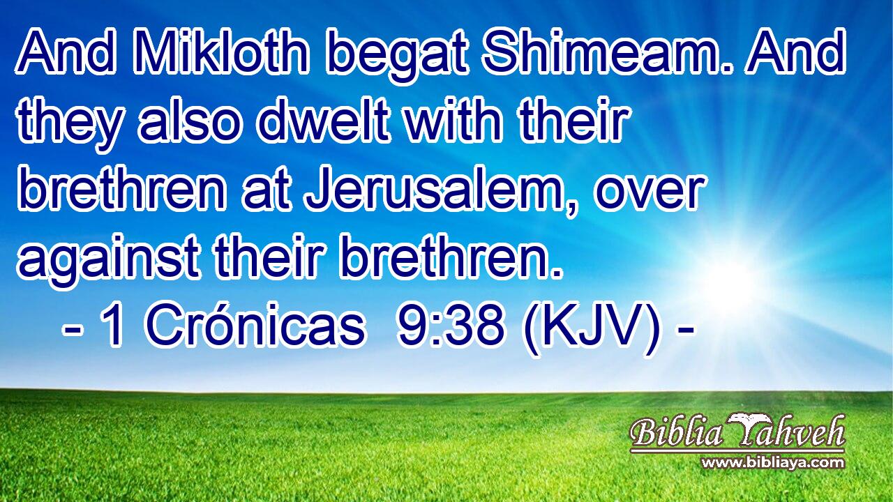 And Mikloth begat Shimeam. And they also dwelt with their brethren at Jerusalem, over against their brethren.