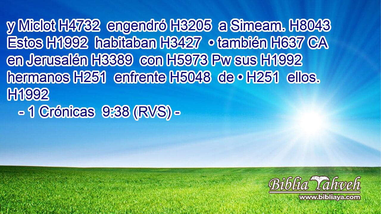 y Miclot H4732  engendró H3205  a Simeam. H8043  Estos H1992  habitaban H3427  • también H637 CA en Jerusalén H3389  con H5973 Pw sus H1992  hermanos H251  enfrente H5048  de • H251  ellos. H1992  
