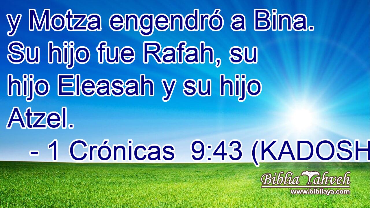  y Motza engendró a Bina. Su hijo fue Rafah, su hijo Eleasah y su hijo Atzel. 