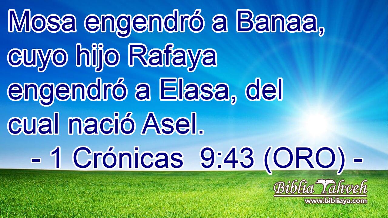  Mosa engendró a Banaa, cuyo hijo Rafaya engendró a Elasa, del cual nació Asel. 